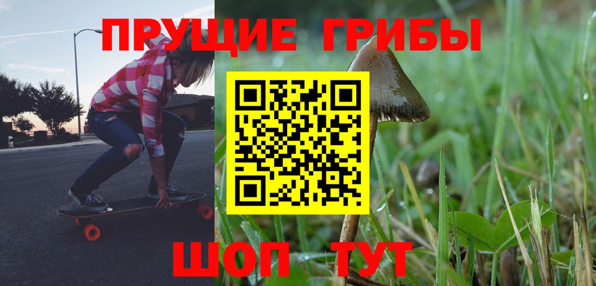 Галлюциногенные грибы Psilocybe  Вход с VPN  Дятьково 